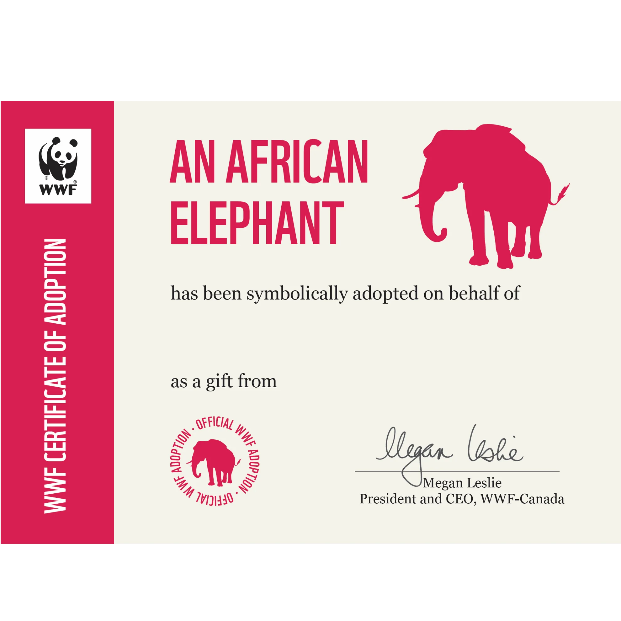 African elephant - Image 3